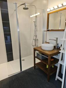 ein Bad mit einer Dusche und einem Waschbecken in der Unterkunft Villa vue Imprenable Aber Benoît in Saint-Pabu