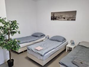 Ένα ή περισσότερα κρεβάτια σε δωμάτιο στο Hostel PRIMAX