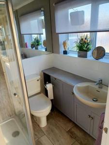 a bathroom with a toilet and a sink at Lotus House in Needingworth