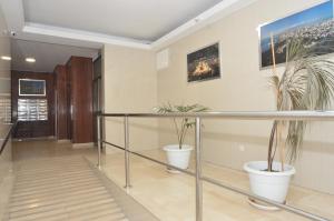 a hallway with potted plants in a building at Alojamiento Beethoven Luxury in Málaga