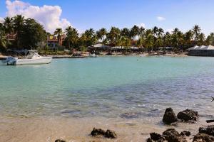 a boat in the water on a beach with palm trees at Le Coco in Le Gosier