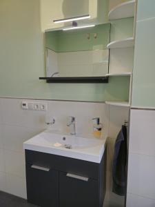 a bathroom with a sink and a mirror at Ferienwohnung Gebauer in Görlitz