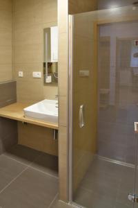 a bathroom with a shower and a sink at EFI ApartHotel Horní Lipová in Lipova Lazne