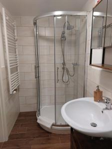 bagno con doccia e lavandino di FeWo Gartenblick a Thale