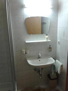 圖克斯的住宿－Reinprecht，一间带水槽、镜子和淋浴的浴室