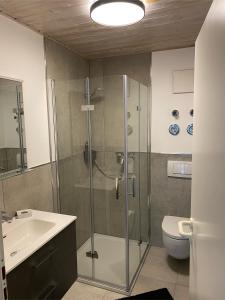 a bathroom with a shower and a toilet and a sink at Ferienwohnung Eisele in Buchenberg