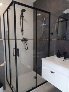 um chuveiro com uma porta de vidro ao lado de um lavatório em Apartamenty Centrum em Janów Lubelski