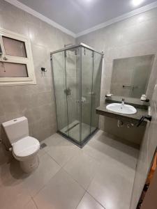 a bathroom with a shower and a toilet and a sink at New Lotus Hotel in Cairo