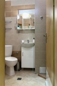 een badkamer met een toilet, een wastafel en een spiegel bij Flower house 10 in Sofia