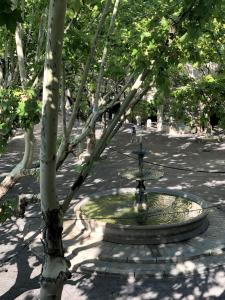 einen Brunnen inmitten eines Parks mit einem Baum in der Unterkunft La bohème place aux herbes in Uzès