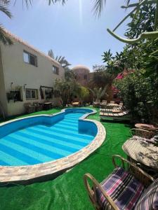 - une piscine avec de l'herbe verte à côté d'un bâtiment dans l'établissement Dream Lodge Siwa دريم لودج سيوة, à Siwa