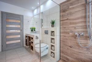 a bathroom with a shower and a toilet and a sink at Villa Trautes Heim in Ahlbeck