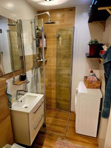a bathroom with a sink and a shower at Apartament Boho in Inowrocław