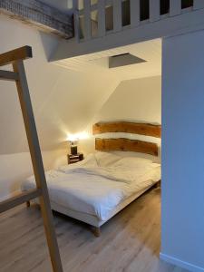 a bedroom with a bunk bed and a ladder at Hôtel Restaurant Domaine De Basil in Orbey