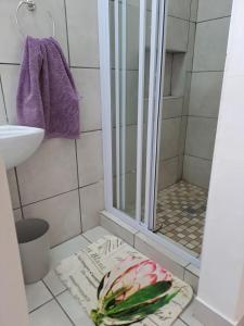 a bathroom with a shower and a rug on the floor at Albert's Nest in Kimberley +14 photos