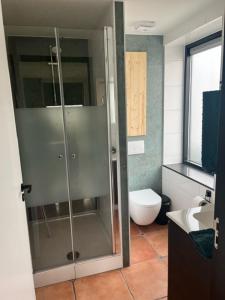 a bathroom with a glass shower and a toilet at De Danser 2 in Klaaswaal