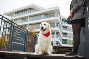 Fotografie z fotogalerie ubytování Dune Beach Resort - C v destinaci Mielno