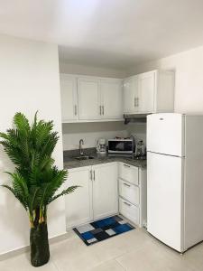 Kuchyň nebo kuchyňský kout v ubytování Cabarete Kite Beach Rooms & Condos