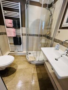 a bathroom with a shower and a sink and a toilet at Haus Larum App. 5 in Scharbeutz