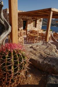 a patio with a table and chairs and a cactus at Phisis Nature Retreat in Donoussa