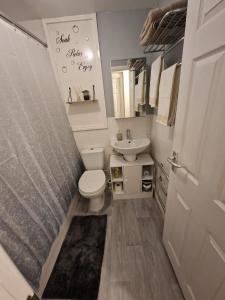 uma pequena casa de banho com WC e lavatório em 1-Bedroom Flat Close to Manchester Airport em Handforth