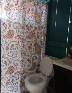 a bathroom with a toilet and a shower curtain at Cabañas sobre el mar en San Blas Narasgandub. in Nusatupo