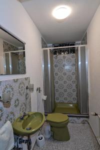 een badkamer met een groen toilet en een douche bij Ferienhaus mit Garten in Rastatt