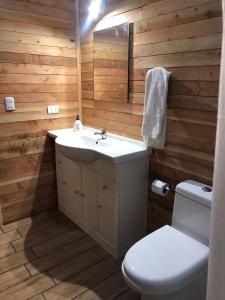 a bathroom with a sink and a toilet and a mirror at Cabaña Pucón in Pucón