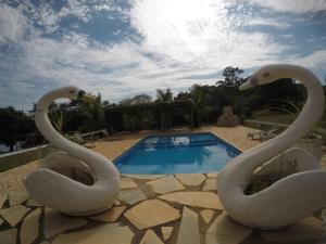 duas estátuas de cisne sentadas ao lado de uma piscina em Chalé Praia Vermelha 1 em Delfinópolis