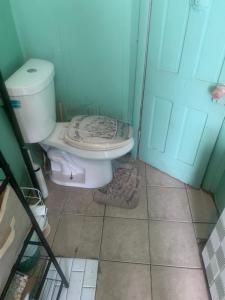 een badkamer met een toilet en een deur bij Cassandra’s Private Room Getaway Heart of Brooklyn in Brooklyn