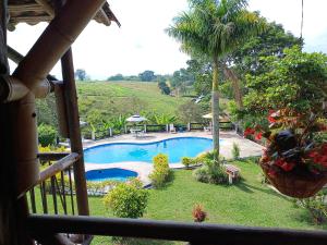 Bazén v ubytování finca hotel palmas frente a panaca nebo v jeho okolí