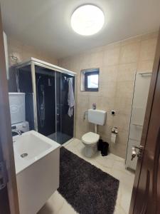 Casa Odessei 9 Oradea في أوراديا: حمام مع حوض ومرحاض ودش
