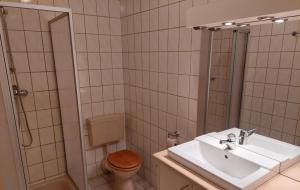 a bathroom with a sink and a toilet and a shower at Haus Nirgendwo in Lützkampen