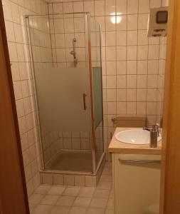 a bathroom with a shower and a sink at Haus Nirgendwo in Lützkampen