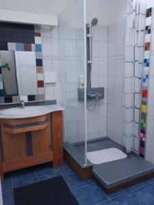 ein Bad mit einem Waschbecken und einer Dusche in der Unterkunft Casa Chélo in Saint-Vincent-de-Tyrosse