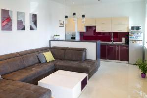 salon z brązową kanapą i kuchnią w obiekcie Apartment Stella w mieście Motovun