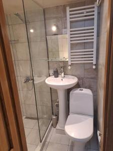 a bathroom with a toilet and a sink and a shower at Apartment on Xancteli in Tbilisi City +9 photos