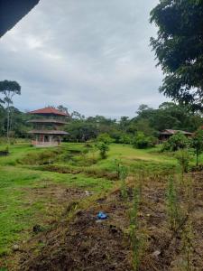 a house in the middle of a field with trees at Finca La Esperanza in Palora