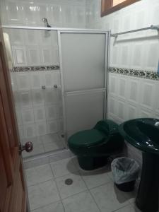 a bathroom with a green toilet and a sink at Finca La Esperanza in Palora