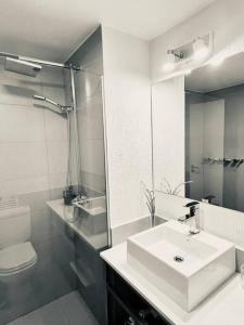 ein Badezimmer mit einem Waschbecken, einem WC und einem Spiegel in der Unterkunft Seaport Apartments Rivadavia I in Ushuaia