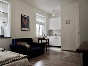 Una sala de estar con un sofá y una cocina. en Apartament Piękna 4, en Jedlina-Zdrój