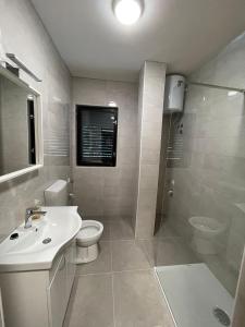 ein Bad mit einem Waschbecken, einem WC und einer Dusche in der Unterkunft Casa Del Sole in Gradac