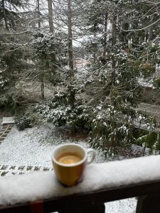 una tazza di caffè seduta sul davanzale della finestra di NadSan Mountain House a Camigliatello Silano