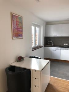 uma cozinha com armários brancos e um balcão branco em Gemütliches Appartement mit eigener Terrasse em Lindau-Bodolz