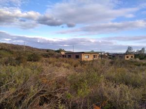 a group of houses in the middle of a field at Mulelle cabañas in Ciudad Lujan de Cuyo