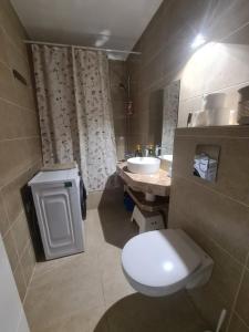 La salle de bains est pourvue de toilettes blanches et d'un lavabo. dans l'établissement City view apartment, à Bragadiru