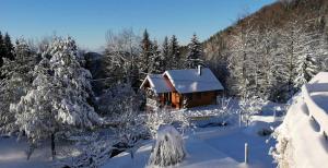 una cabaña en la nieve con árboles nevados en Ica - hišica v hribih, en Kamnik