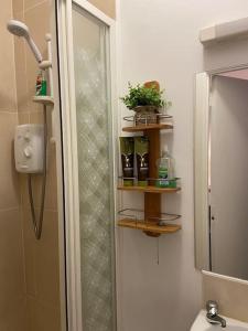 uma casa de banho com um chuveiro, um WC e um espelho. em Vera’s Penthouse em Wexford