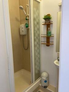 a shower with a glass door in a bathroom at Vera’s Penthouse in Wexford