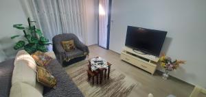 sala de estar con sofá y TV de pantalla plana en Dajti Mountain View, en Tirana